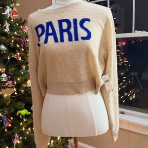 Anthropologie Pilcro The Alani Cashmere Sweater Mock Neck size small new w tags